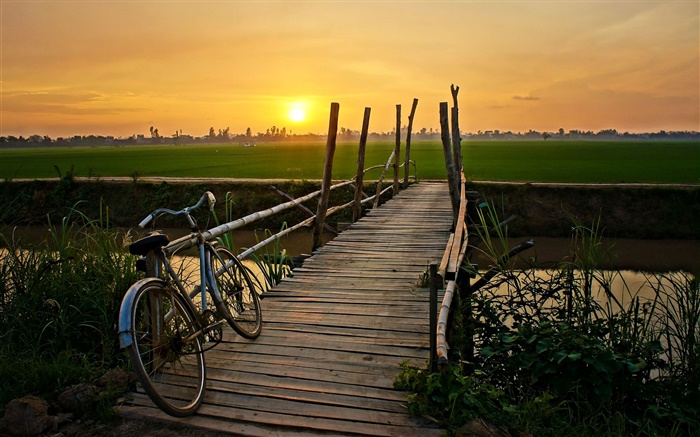 Sonnenuntergang, Fahrrad, Brücke, Gras, Feld, Fluss Hintergrundbilder Bilder