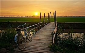 Sonnenuntergang, Fahrrad, Brücke, Gras, Feld, Fluss HD Hintergrundbilder