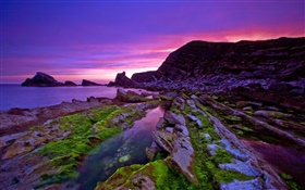 Sonnenuntergang, Meer, Küste, Steine, Moos, lila Himmel HD Hintergrundbilder