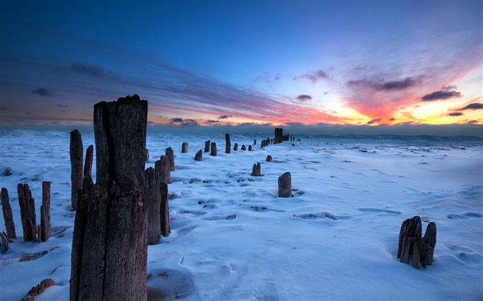 Winter, Sonnenuntergang, Schnee, Stumpf Hintergrundbilder Bilder