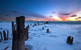 Winter, Sonnenuntergang, Schnee, Stumpf HD Hintergrundbilder