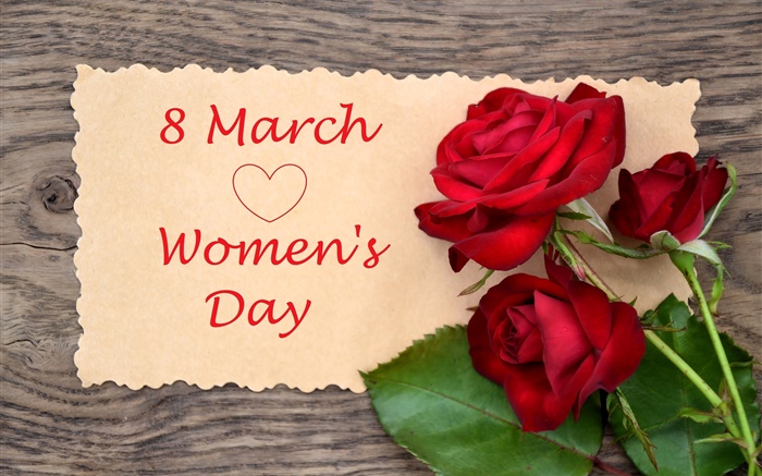 8. März Frauentag, rote Rose Blumen Hintergrundbilder Bilder
