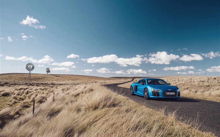 Audi R8 V10 blaues Auto, Natur, Gras, Straße Hintergrundbilder Bilder