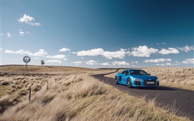 Audi R8 V10 blaues Auto, Natur, Gras, Straße