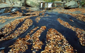 Herbst, viele Blätter, Wasserfall, Bach, Felsen HD Hintergrundbilder