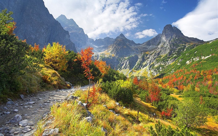 Herbst Natur, Berge, gelbes Gras, Bäume, Wolken Hintergrundbilder Bilder