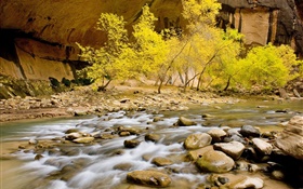 Herbst, Fluss, Steine, Bäume, gelbe Blätter HD Hintergrundbilder