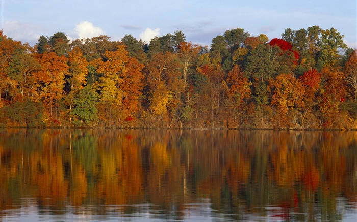 Herbst, Bäume, Fluss Hintergrundbilder Bilder