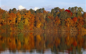 Herbst, Bäume, Fluss HD Hintergrundbilder