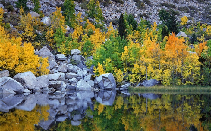 Herbst, Bäume, Felsen, See, Wasser Reflexion Hintergrundbilder Bilder