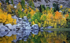 Herbst, Bäume, Felsen, See, Wasser Reflexion