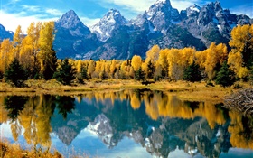 Herbst, Bäume, gelb, See, Gebirge HD Hintergrundbilder