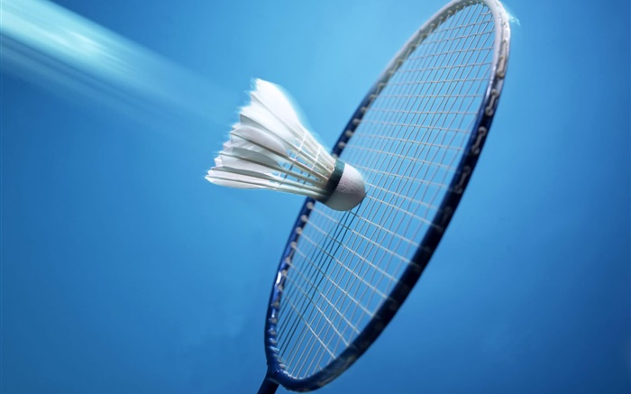 Badminton und Schläger, blauer Hintergrund Hintergrundbilder Bilder