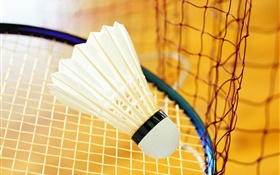 Badminton und Schläger HD Hintergrundbilder