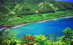 Bay, Meer, Berge, grüne Pflanzen, Hawaii, USA HD Hintergrundbilder