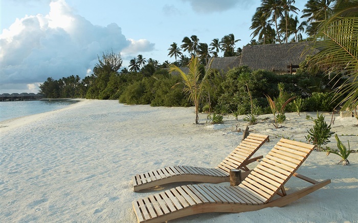 Strand, Stuhl, Palmen, tropische Hintergrundbilder Bilder