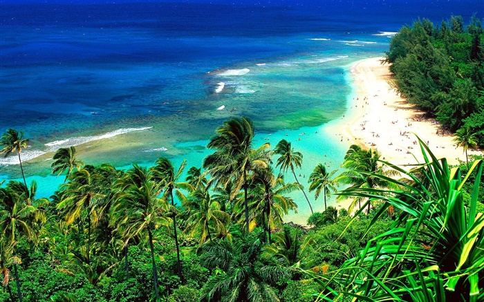 Strand, Menschen, Reise, blaues Meer, Hawaii, USA Hintergrundbilder Bilder