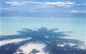 Strand, Meer, Palme Schatten, Malediven HD Hintergrundbilder