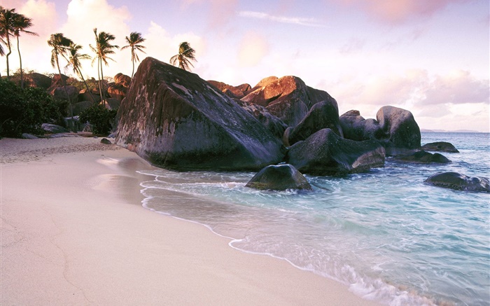 Strand, Meer, Steine, Felsen, Palmen Hintergrundbilder Bilder