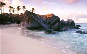 Strand, Meer, Steine, Felsen, Palmen HD Hintergrundbilder