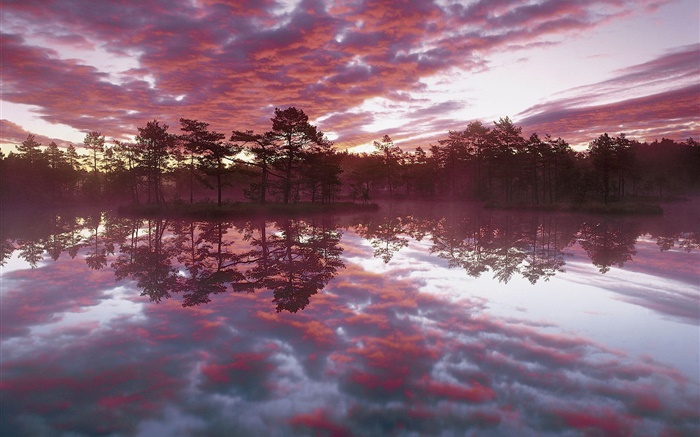 Schöne Dämmerung, Bäume, See, Wasser Reflexion, rote Wolken Hintergrundbilder Bilder