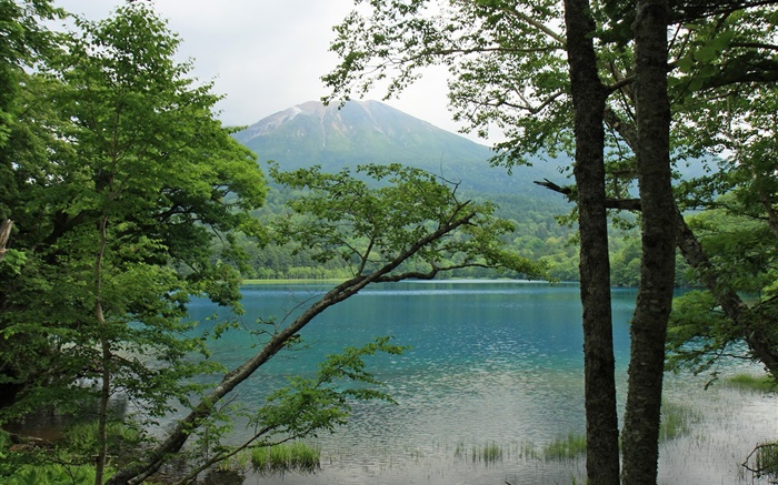 Schöne Natur, See, Bäume, Berge, Hokkaido, Japan Hintergrundbilder Bilder
