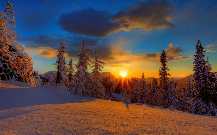 Schöner Sonnenuntergang, Winter, Schnee, Bäume, Dämmerung Hintergrundbilder Bilder