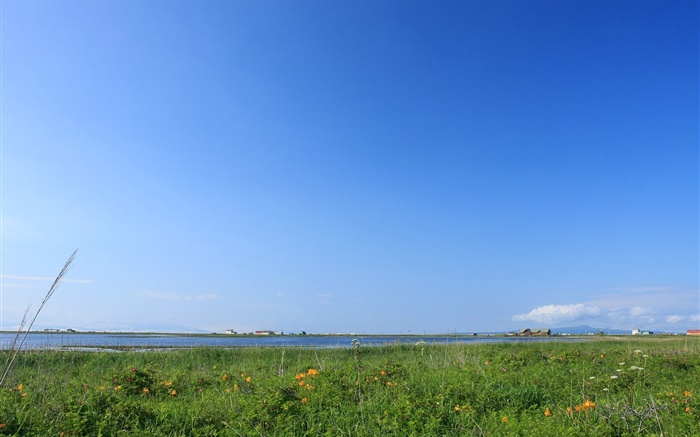 Blauer Himmel, Gras, Küste, Hokkaido, Japan Hintergrundbilder Bilder
