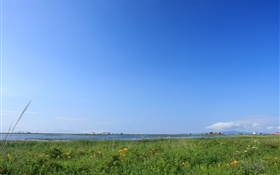 Blauer Himmel, Gras, Küste, Hokkaido, Japan