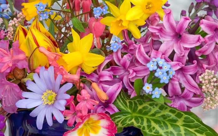Strauß Blumen, viele Arten, bunt Hintergrundbilder Bilder