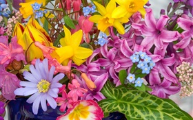 Strauß Blumen, viele Arten, bunt HD Hintergrundbilder