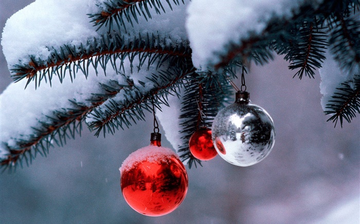 Weihnachtskugeln , Baum, Äste, dicke Schnee Hintergrundbilder Bilder