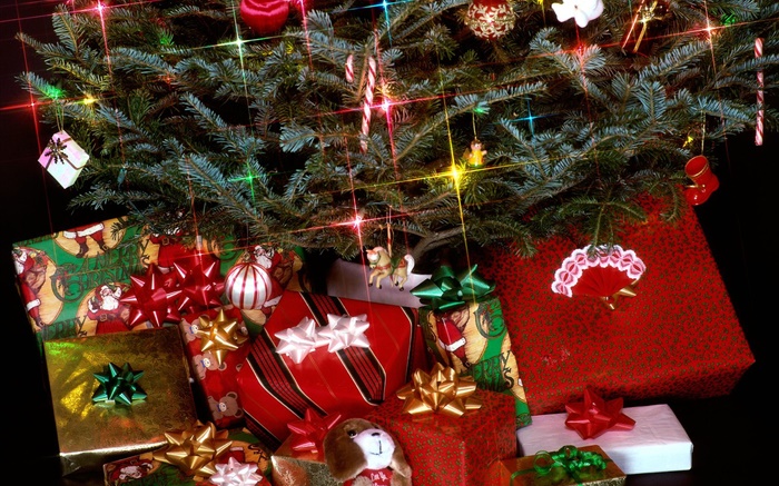 Weihnachtsgeschenke, Lichter, Tannenzweigen Hintergrundbilder Bilder