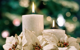Thema Weihnachten, weiße Kerzen HD Hintergrundbilder