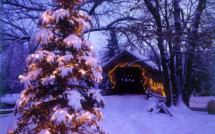 Weihnachtsbaum, Schnee, Haus, Bäume Hintergrundbilder Bilder