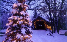 Weihnachtsbaum, Schnee, Haus, Bäume HD Hintergrundbilder