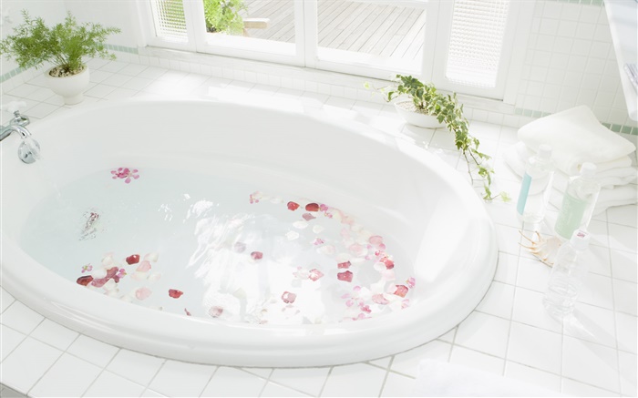 Nahaufnahme Badewanne, Wasser, Blütenblatt Hintergrundbilder Bilder