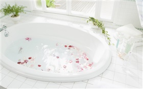 Nahaufnahme Badewanne, Wasser, Blütenblatt HD Hintergrundbilder