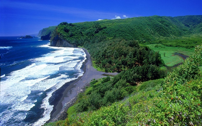Küste, Meer, Strand, Hawaii, USA Hintergrundbilder Bilder
