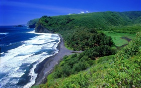 Küste, Meer, Strand, Hawaii, USA HD Hintergrundbilder