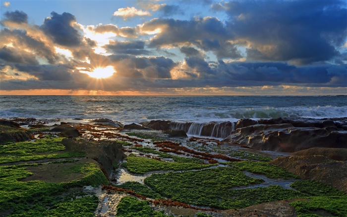 Coast, Steine, Sonnenuntergang, Wolken, Pazifik Hintergrundbilder Bilder