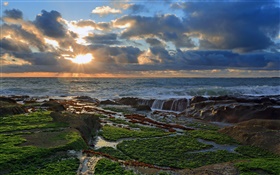Coast, Steine, Sonnenuntergang, Wolken, Pazifik HD Hintergrundbilder