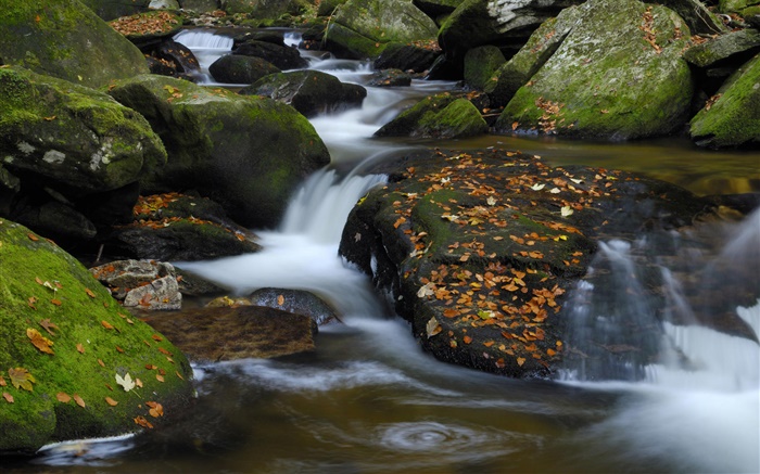 Creek, Steine, rote Blätter, Herbst Hintergrundbilder Bilder
