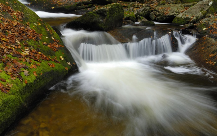 Creek, Bach, Felsen, Herbst Hintergrundbilder Bilder