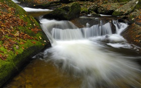 Creek, Bach, Felsen, Herbst HD Hintergrundbilder