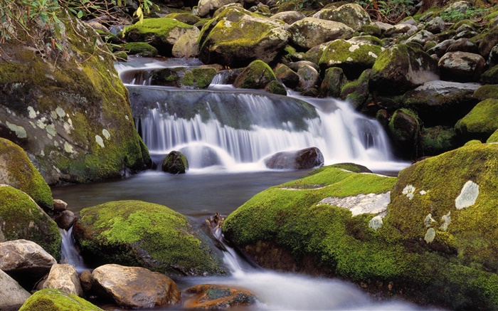 Creek, Wasserfälle , Steine, Moos, Natur Landschaft Hintergrundbilder Bilder