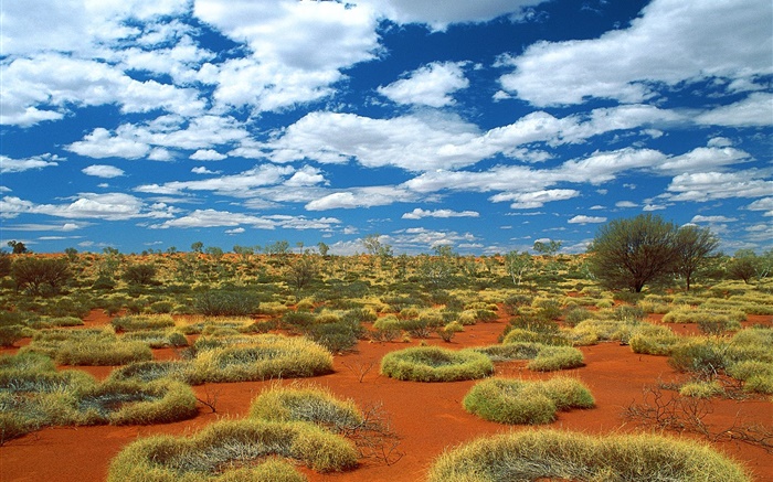 Wüste, Gras, Wolken, Australien Hintergrundbilder Bilder