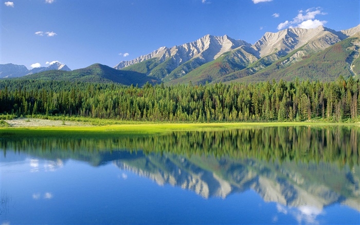 Dog Lake, Berge, Wald, Kootenay National Park, British Columbia, Kanada Hintergrundbilder Bilder