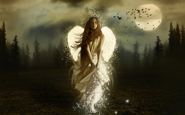 Fantasie Engel Mädchen, weißen Flügeln, Nacht, Mond, Vögel Hintergrundbilder Bilder