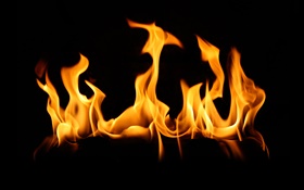 Feuer Flamme Nahaufnahme, schwarzer Hintergrund HD Hintergrundbilder